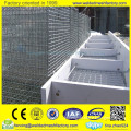 Mink wire mesh breeding cages with wooden box